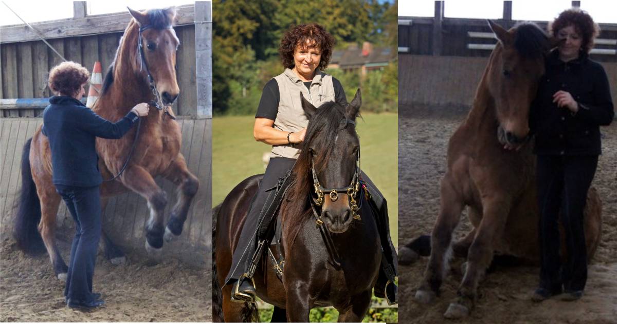 Akademische Reitkunst und Horsemanship Petra Klose